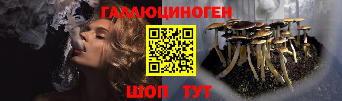 Псилоцибиновые грибы Magic Shrooms  Вход с VPN  Усть-Илимск  Галлюциногенные грибы Psilocybine cubensis 